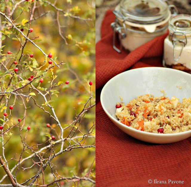 Pic nic autunnale2